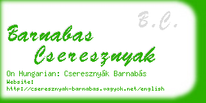 barnabas cseresznyak business card